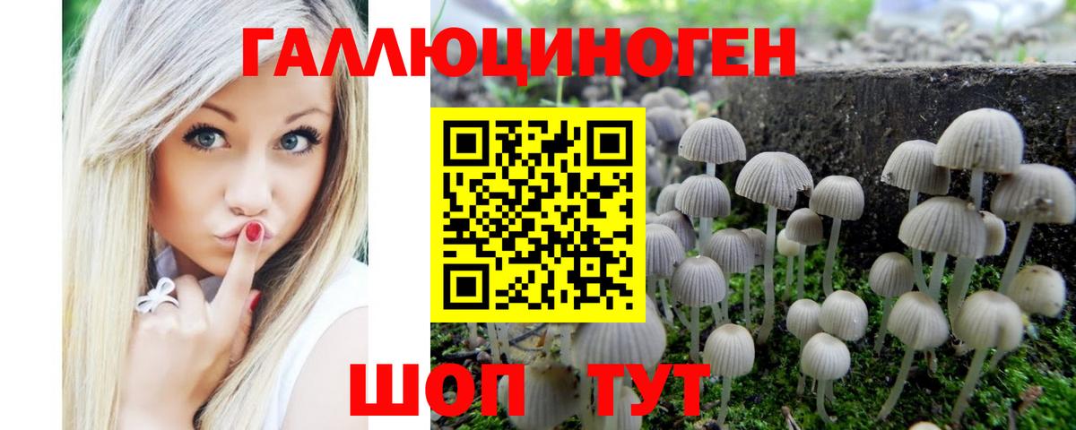 Псилоцибиновые грибы MAGIC MUSHROOMS  Галлюциногенные грибы мухоморы  Вход с VPN  Зерноград 